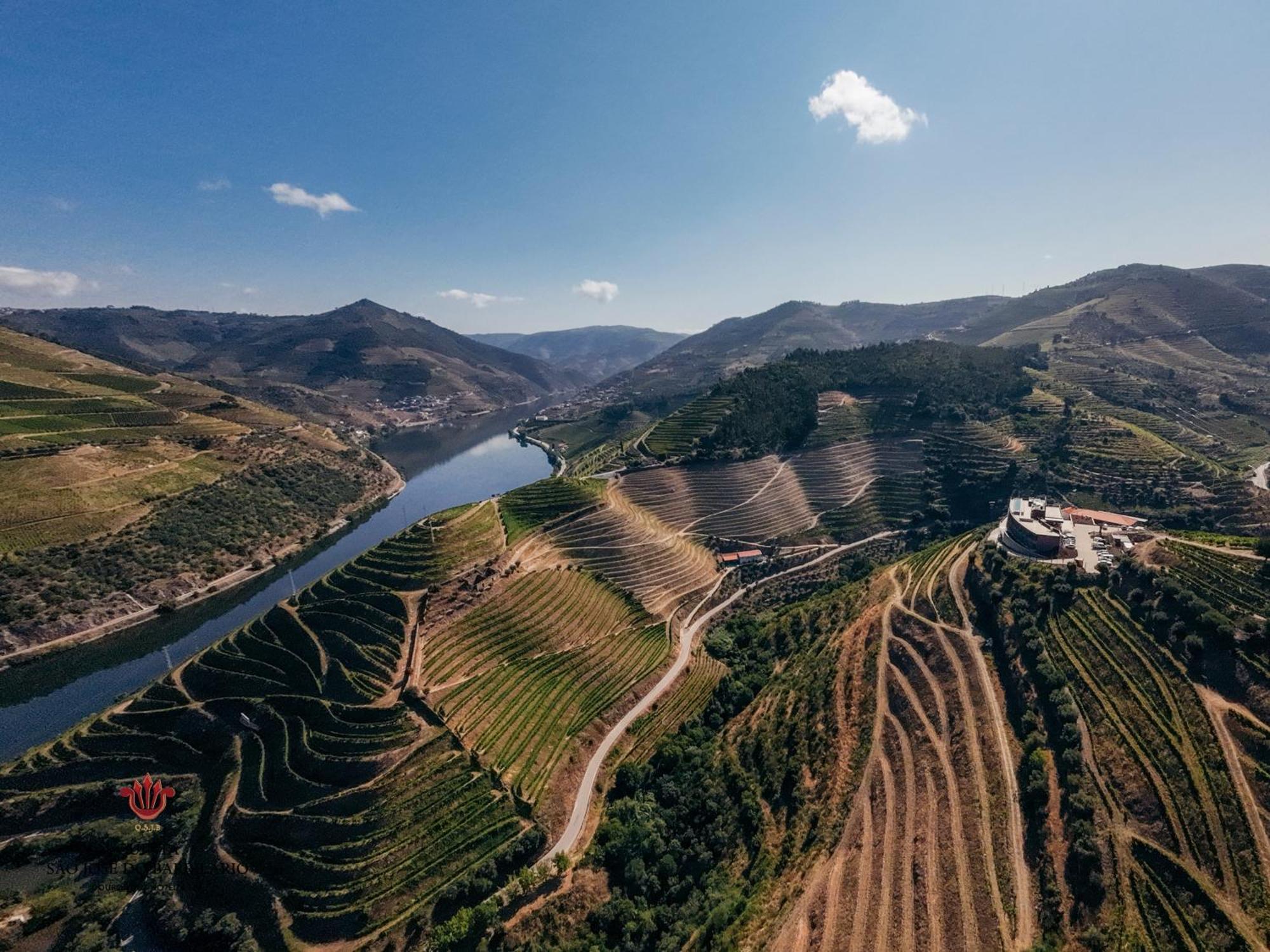 Barrilario Douro Wine Hotel E Spa - Quinta Sao Jose Do Barrilario Armamar Eksteriør bilde