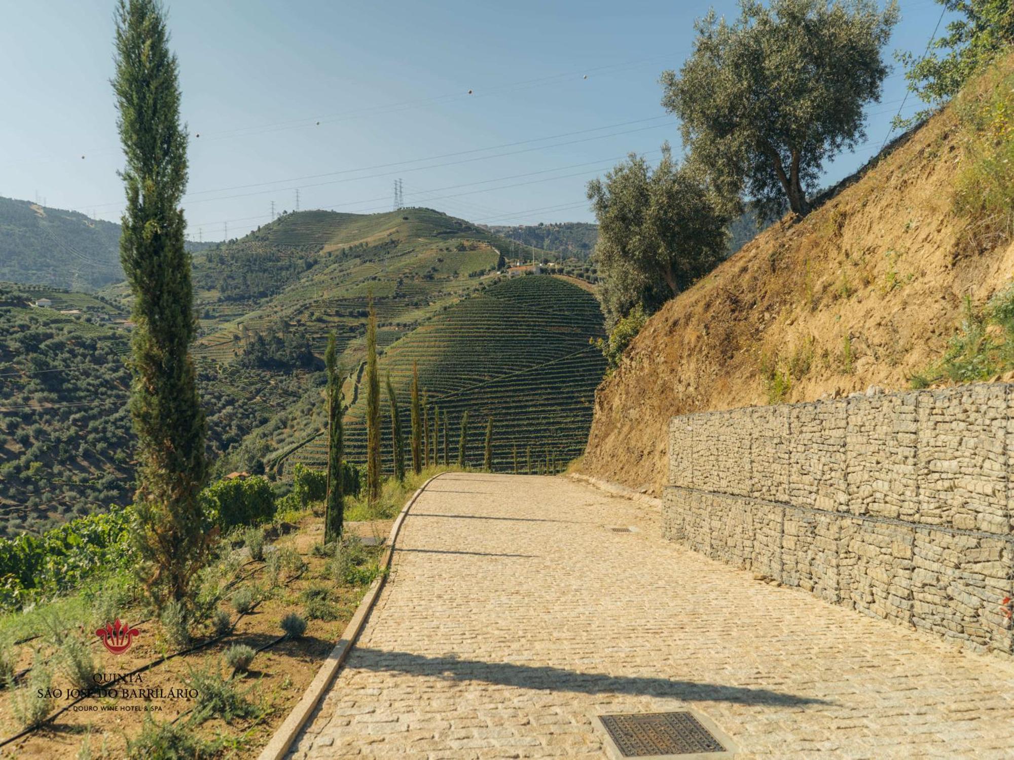 Barrilario Douro Wine Hotel E Spa - Quinta Sao Jose Do Barrilario Armamar Eksteriør bilde